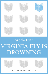 Omslagafbeelding: Virginia Fly is Drowning 1st edition 9781448200276