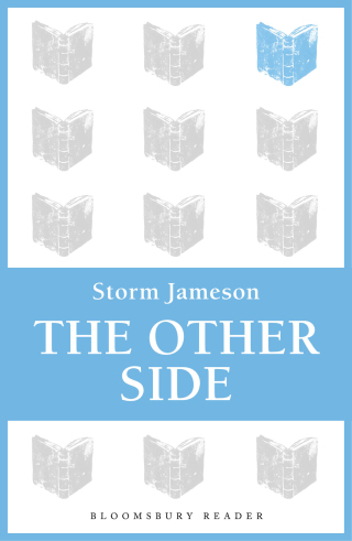 Immagine di copertina: The Other Side 1st edition 9781448200382