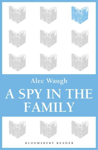 Imagen de portada: A Spy in the Family 1st edition 9781448200610