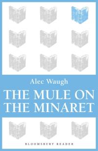 Cover image: The Mule on the Minaret 1st edition 9781448200757