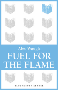 Cover image: Fuel for the Flame 1st edition 9781448201211