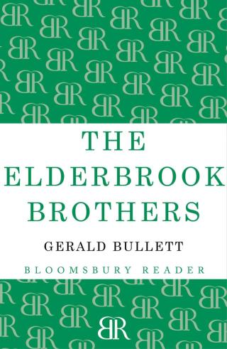 Cover image: The Elderbrook Brothers 1st edition 9781448204014