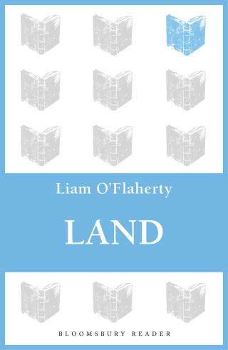 Titelbild: Land 1st edition 9781448204472