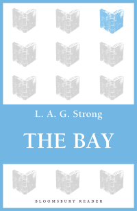 表紙画像: The Bay 1st edition 9781448204960