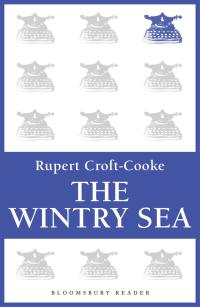 Cover image: The Wintry Sea 1st edition 9781448205141