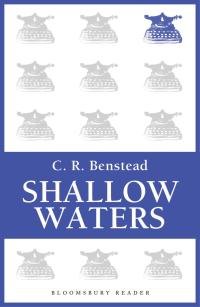 表紙画像: Shallow Waters 1st edition 9781448206445