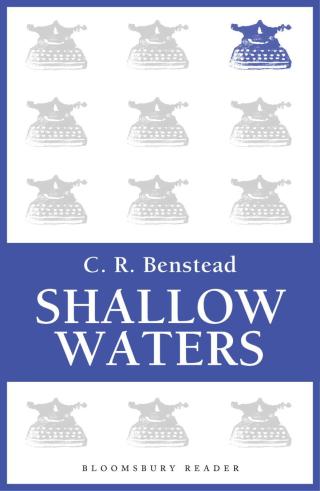 Cover image: Shallow Waters 1st edition 9781448206445