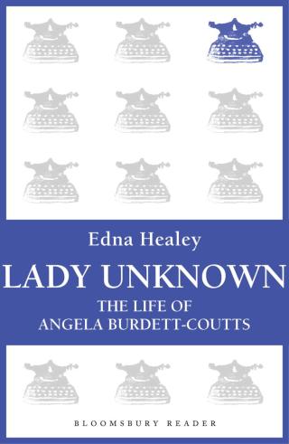 Imagen de portada: Lady Unknown 1st edition 9781448207541