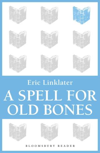 Imagen de portada: A Spell For Old Bones 1st edition 9781448207589