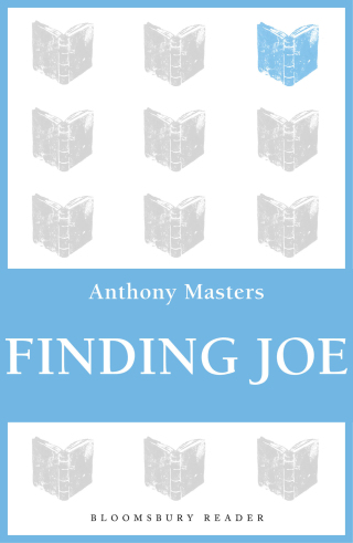 Cover image: Finding Joe 1st edition 9781448209040