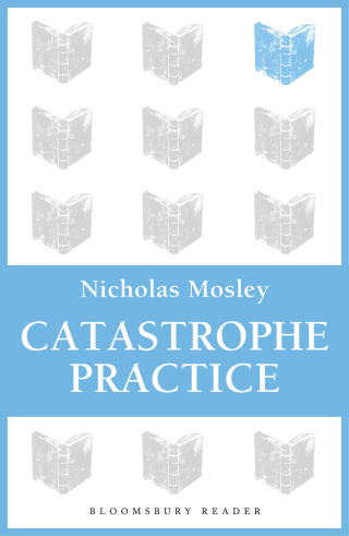 Imagen de portada: Catastrophe Practice 1st edition