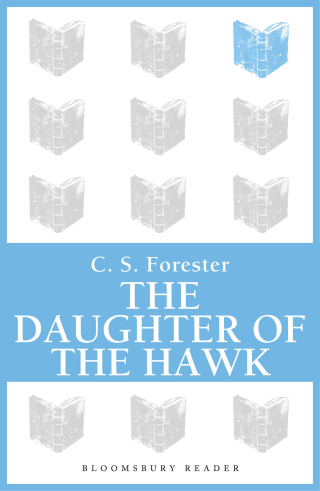 Immagine di copertina: The Daughter of the Hawk 1st edition