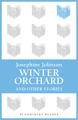 Omslagafbeelding: Winter Orchard and Other Stories 1st edition