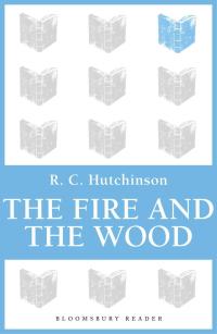 Titelbild: The Fire and the Wood 1st edition