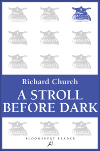 Cover image: A Stroll Before Dark 1st edition