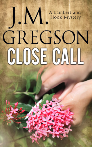 Imagen de portada: Close Call 9781448300297