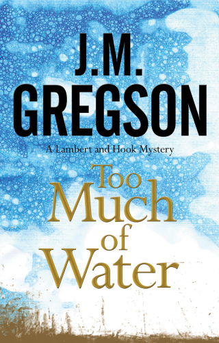 Cover image: Too Much of Water 9780727875242