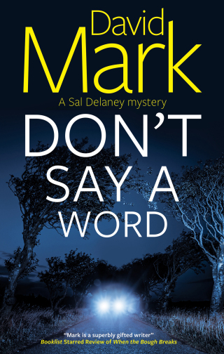 Cover image: Don't Say a Word 9781448315321