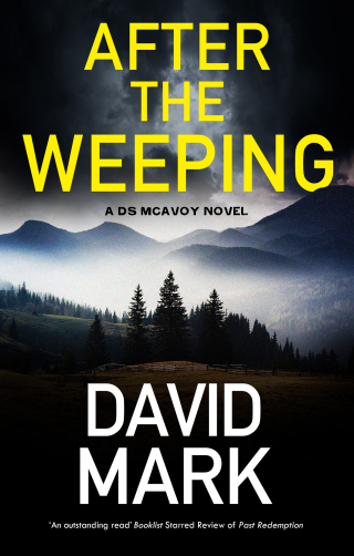 Cover image: After the Weeping 9781448315345