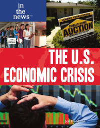 Cover image: The U.S. Economic Crisis 9781435835870