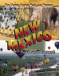 Cover image: New Mexico 9781435894907