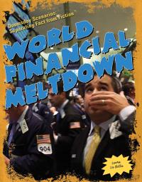 Cover image: World Financial Meltdown 9781435835641