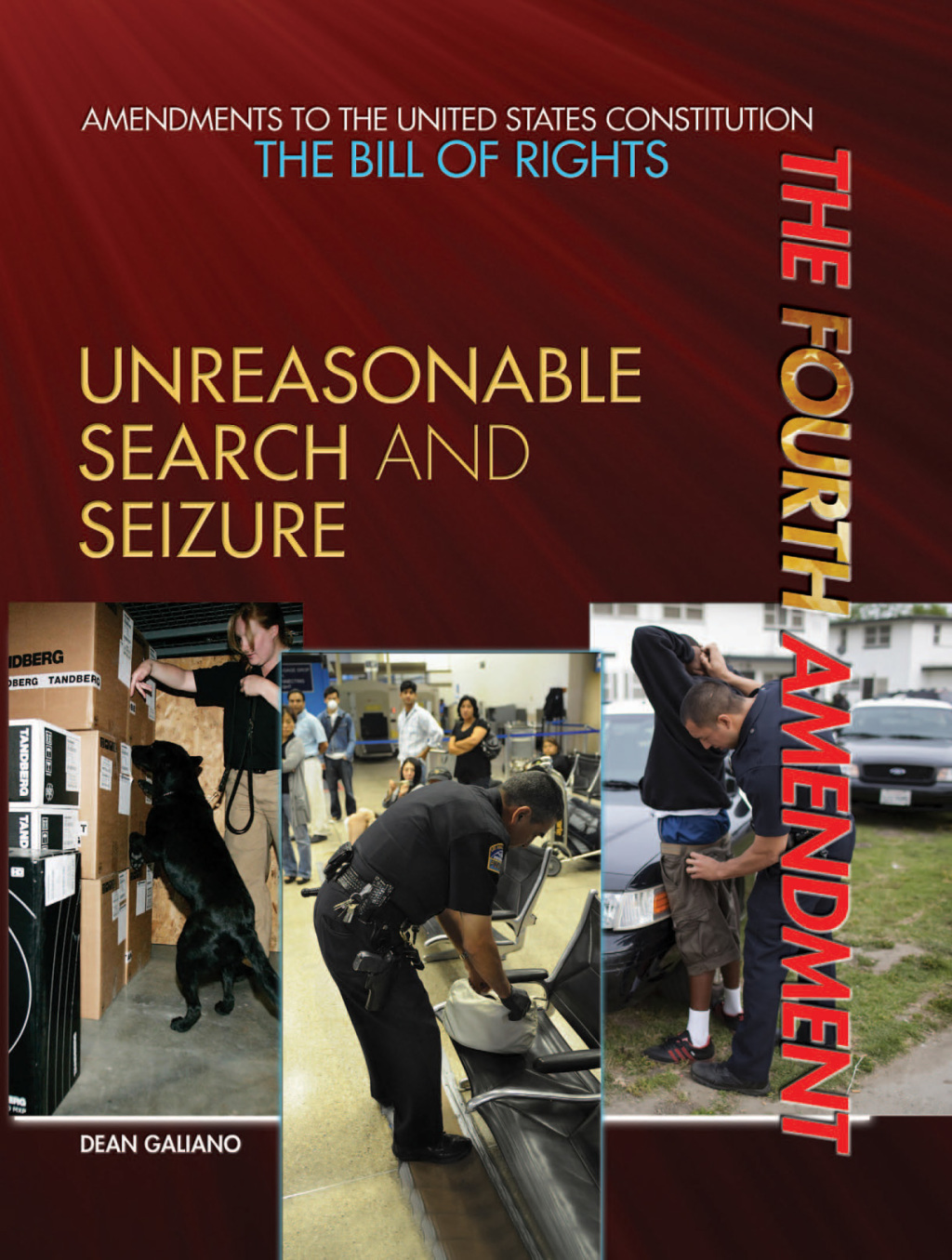 The Fourth Amendment eBook