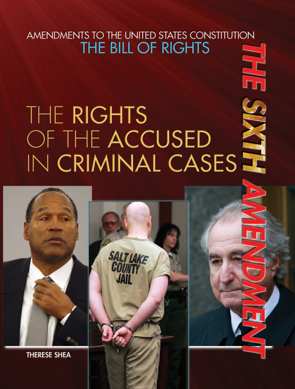 The Sixth Amendment eBook