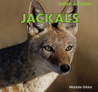 Cover image: Jackals 9781448825059