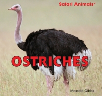 صورة الغلاف: Ostriches 9781448825097