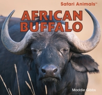 Imagen de portada: African Buffalo 9781448825080