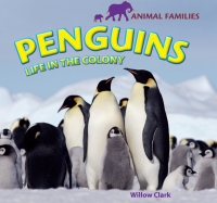 Cover image: Penguins 9781448825103