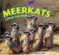 Cover image: Meerkats 9781448825110