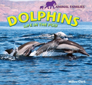 Imagen de portada: Dolphins 9781448825127