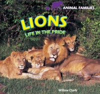 Cover image: Lions 9781448825134