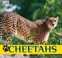 صورة الغلاف: Cheetahs 9781448825189