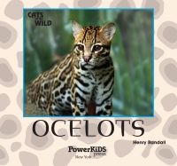 Cover image: Ocelots 9781448825196
