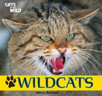 Imagen de portada: Wildcats 9781448825219