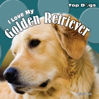 Cover image: I Love My Golden Retriever 9781448825363