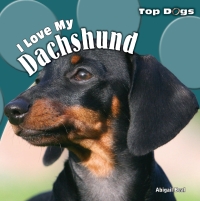 Cover image: I Love My Dachshund 9781448825370