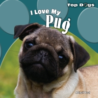 صورة الغلاف: I Love My Pug 9781448825394