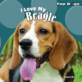 صورة الغلاف: I Love My Beagle 9781448825400
