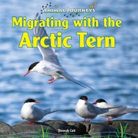 صورة الغلاف: Migrating with the Arctic Tern 9781448825424