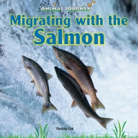 Imagen de portada: Migrating with the Salmon 9781448825455