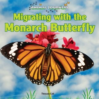 صورة الغلاف: Migrating with the Monarch Butterfly 9781448825462