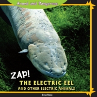 Cover image: Zap! 9781448825479