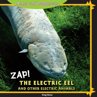 Imagen de portada: Zap! 9781448825479