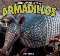 Cover image: Armadillos 9781448849512