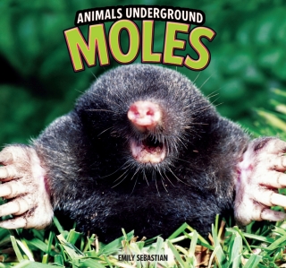 Omslagafbeelding: Moles 9781448849529