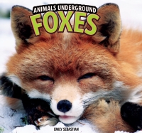 Cover image: Foxes 9781448849536